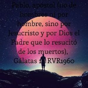 Meet your Posher, Rosy